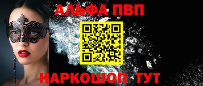 индика Камышлов