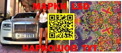 индика Камышлов