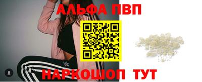 индика Камышлов