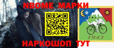 индика Камышлов