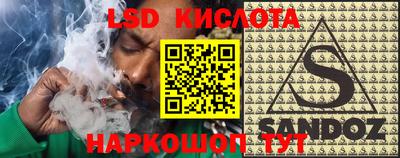 индика Камышлов