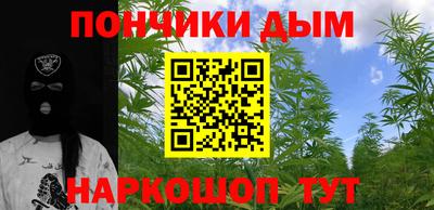 индика Камышлов