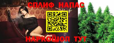 индика Камышлов