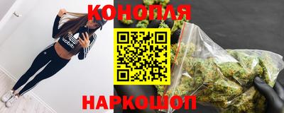 шишки Канаш