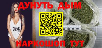 индика Камышлов