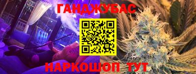 индика Камышлов