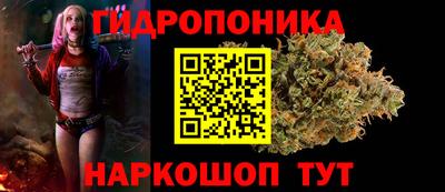 шишки Канаш