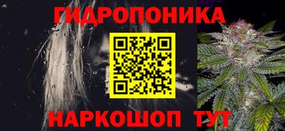 spice Кандалакша