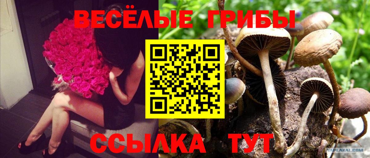 Псилоцибиновые грибы ЛСД  Галлюциногенные грибы MAGIC MUSHROOMS  Кропоткин  Вход с VPN 