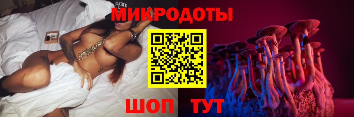 Псилоцибиновые грибы Psilocybine cubensis Кропоткин